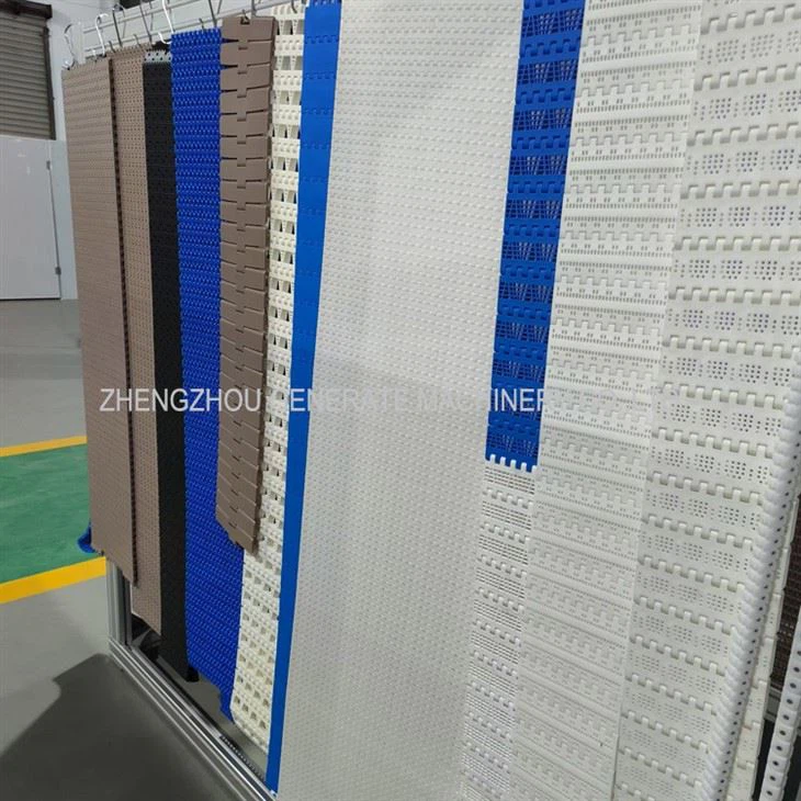 Plastic Slat Chain Conveyor