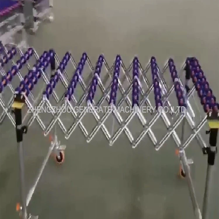 Expandable Skate Wheel Roller Conveyor 2